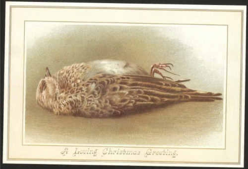 tumblr_ngchu9C7Ra1u5yqcfo1_500