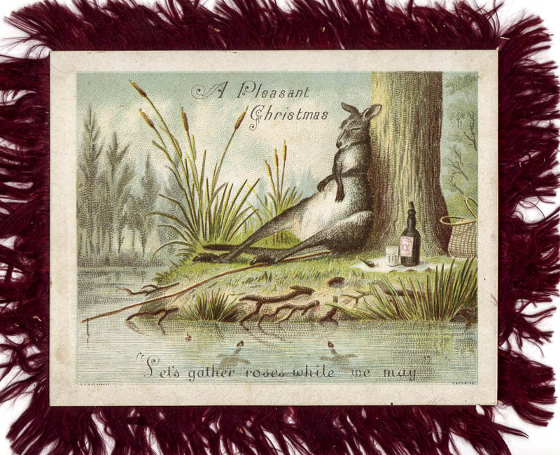 1884-GS-wallaroo-back-00023MA-96