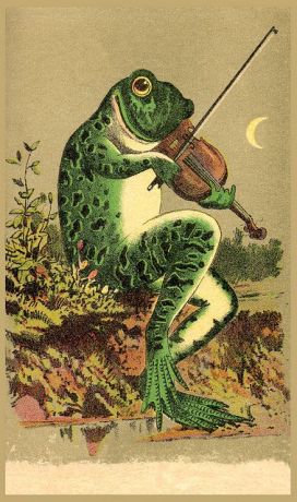 695b954b1d98ac97456af986f7b911c6--frog-pics-frog-art