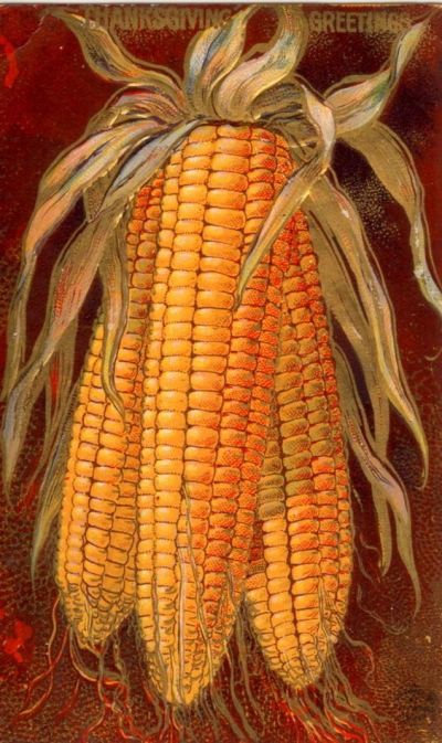 16696a0f5ecde07394d6684313c1dac9