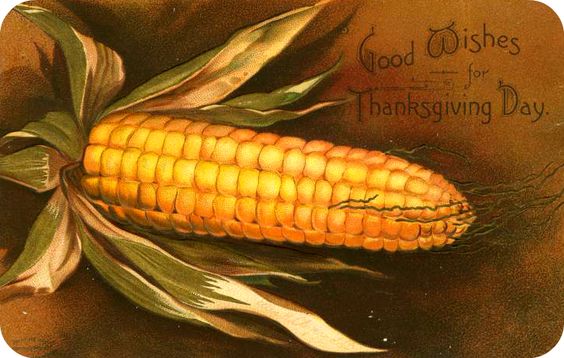 b8fa22eb448e83b21136818304ac758e