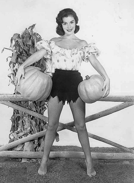 6f7a4f840f2af7ee3538a686ddc0fb50